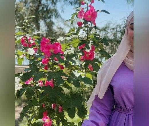 عکس دختر با حجاب شال