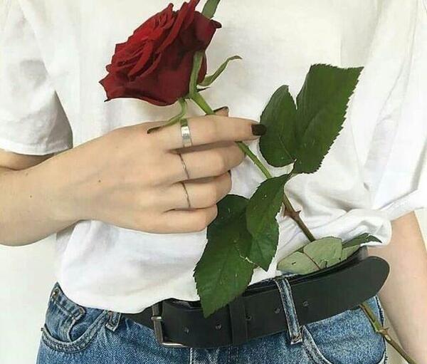 عکس نوشته ای فلک گر من نمیزادی