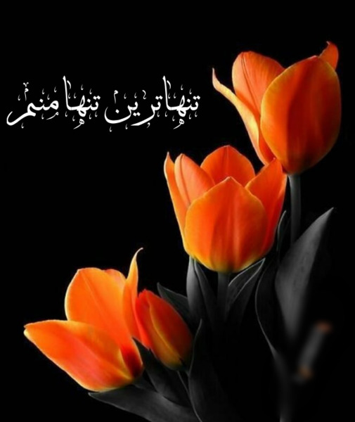 عکس نوشته ای فلک گر من نمیزادی
