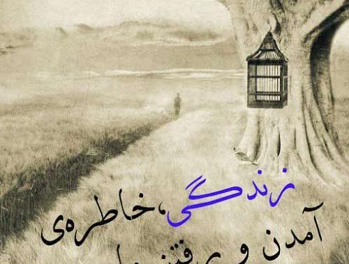 عکس نوشته ای فلک گر من نمیزادی