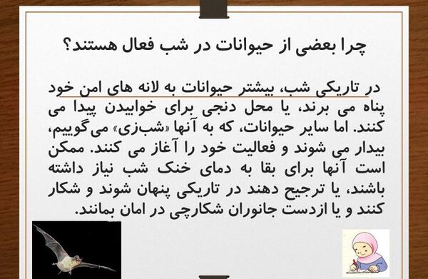 عکس حیوانات شب فعال