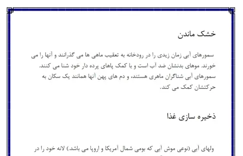عکس حیوانات شب فعال