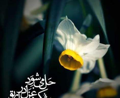 عکس نوشته شعر کوتاه زیبا
