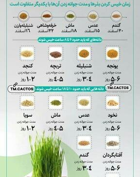 عکس سبزه سویا