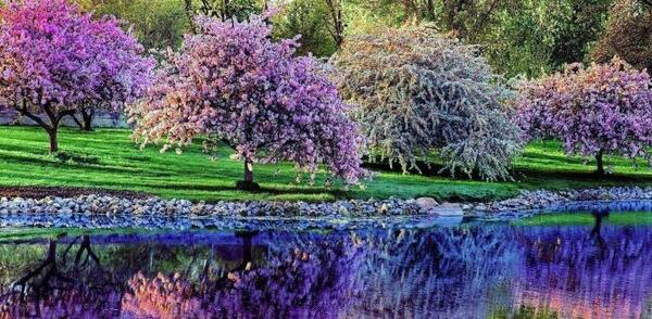 عکس نوشته دخترم کربلانمیخواهی