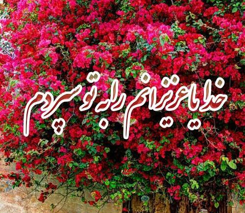 عکس نوشته خدایا مواظب همه عزیزانم باش