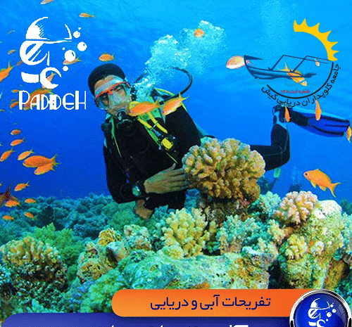 عکس کافه یخی کیش