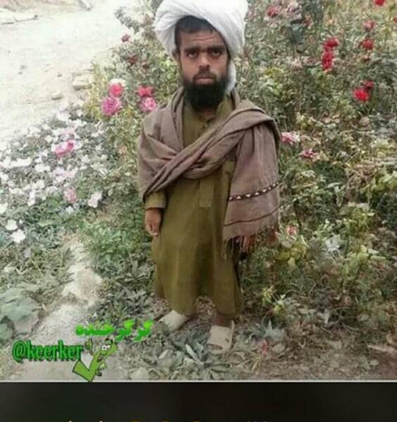 عکس مینی طالبان