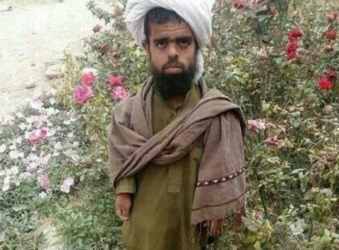 عکس مینی طالبان