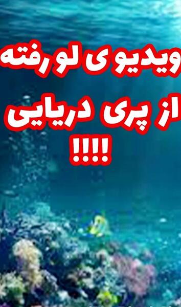 عکس پری دریایی خلیج فارس