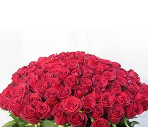 عکس امام حسین فرشته