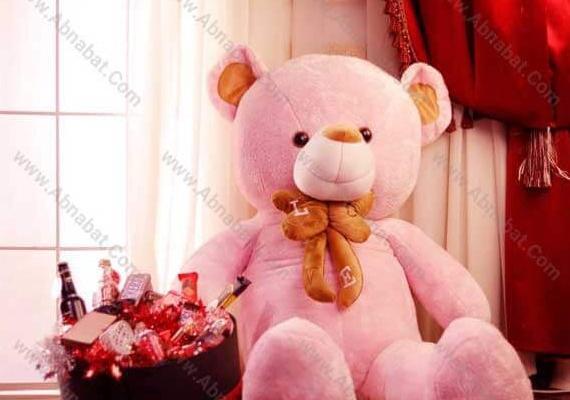 عکس زیبا از ژاله صامتی
