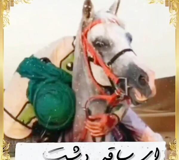 عکس امام حسین ظهر عاشورا