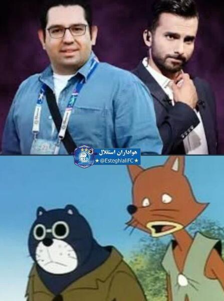 عکس از گربه نره و روباه مکار