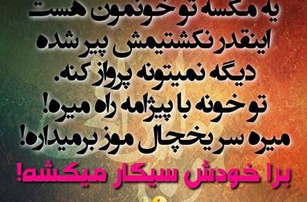 عکس در مورد ضرر سیگار
