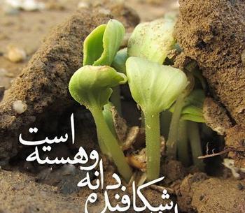 عکس نوشته عظمت خدا