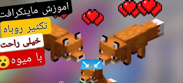 عکس روباه یخی