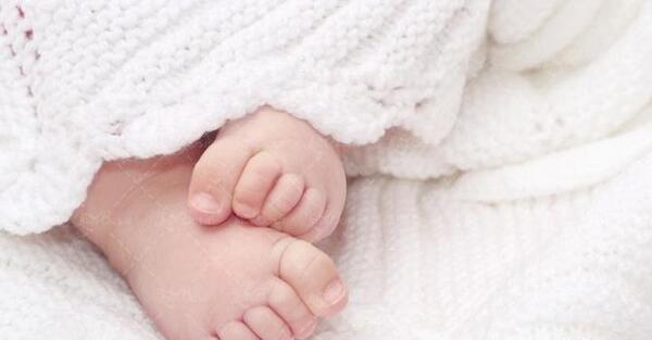 عکس فروش سگ وحشی