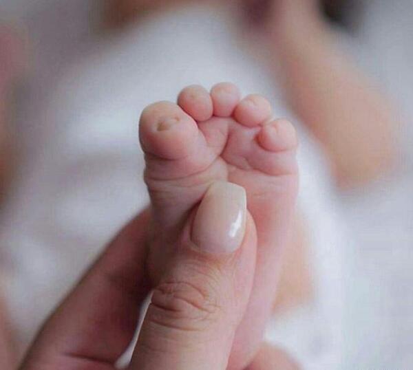 عکس فروش سگ وحشی
