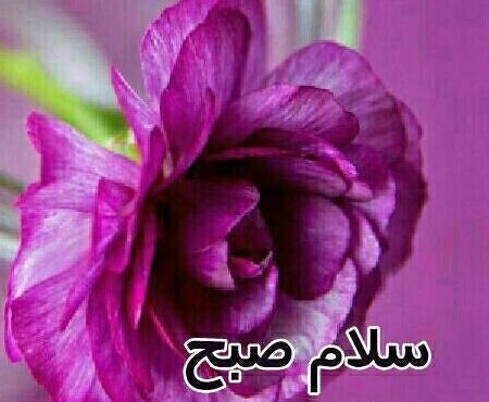 عکس صبح بخیر روز پنج شنبه