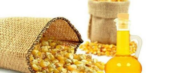 عکس تصویر روغن ذرت