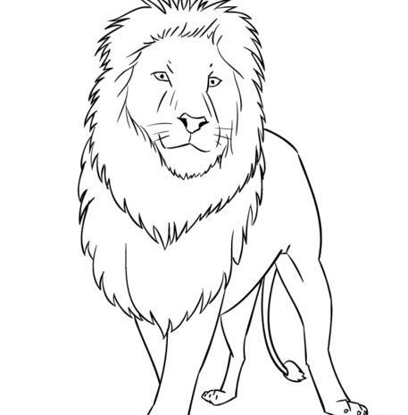 عکس نقاشی شیر ساده کودکانه