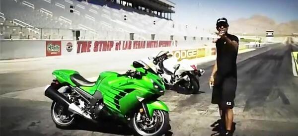 عکس سگ فانتزی خوشگل