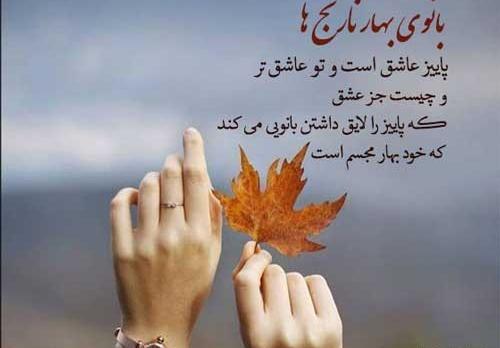 عکس استوری عاشقانه پاییزی جدید