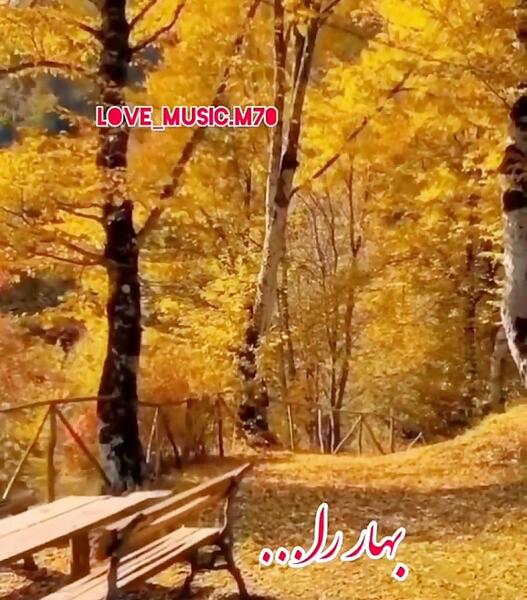 عکس استوری عاشقانه پاییزی جدید