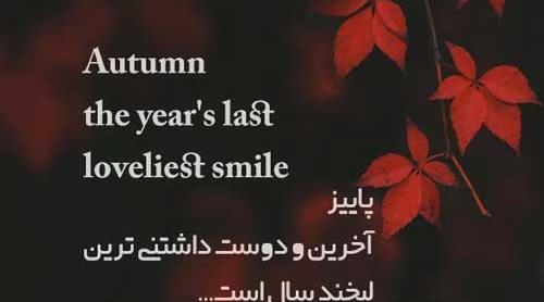 عکس استوری عاشقانه پاییزی جدید
