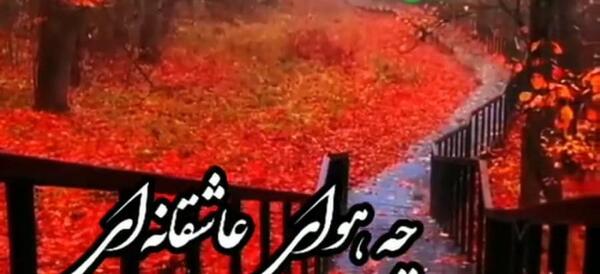 عکس استوری عاشقانه پاییزی جدید