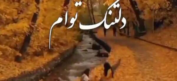 عکس استوری عاشقانه پاییزی جدید