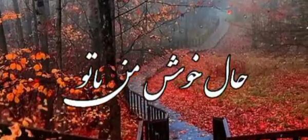 عکس استوری عاشقانه پاییزی جدید