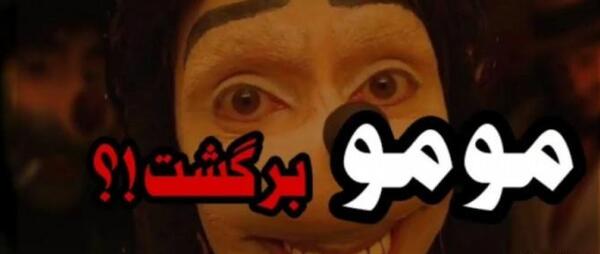 عکس سگ پامرانین با کیفیت بالا