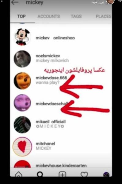 عکس سگ پامرانین با کیفیت بالا