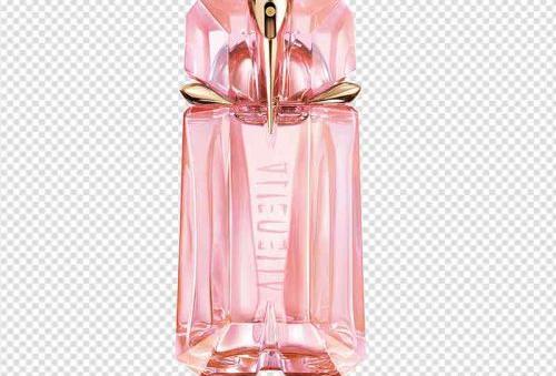 عکس عطر نقاشی