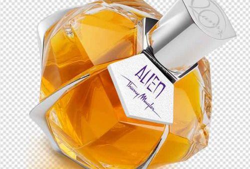 عکس عطر نقاشی