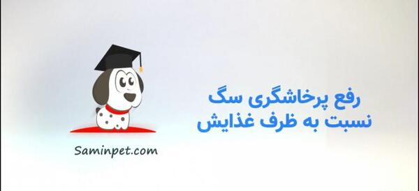 عکس قلاده سگ پشمالو
