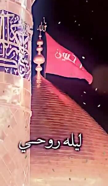 امام عکس یا حسین زیبا