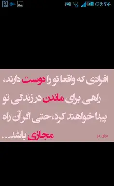عکس نزدیک از سوسک
