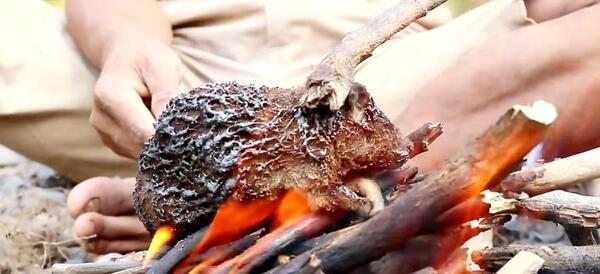 عکس مارمولک دختر