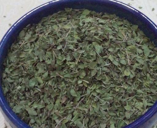 عکس تصویر اویشن شیرازی