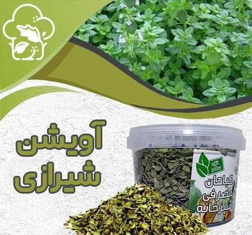عکس تصویر اویشن شیرازی