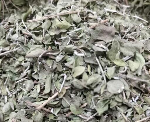 عکس تصویر اویشن شیرازی