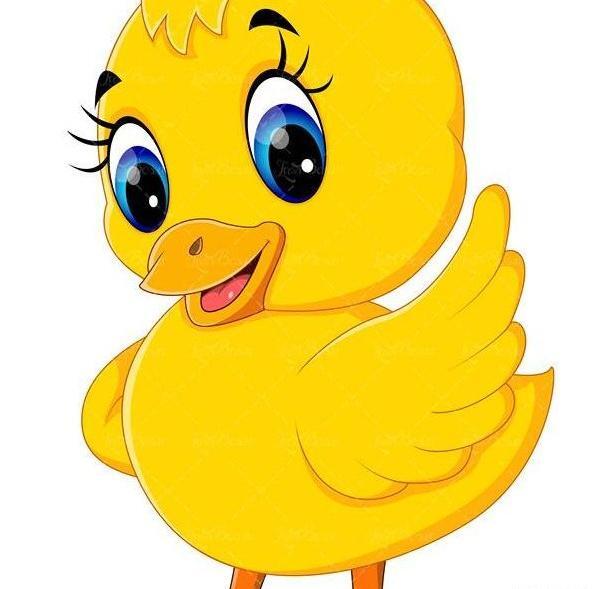 عکس جوجه کارتونی