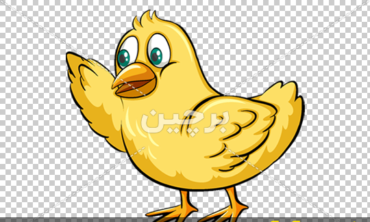 عکس جوجه کارتونی