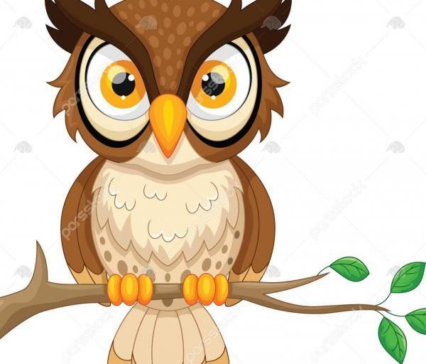 عکس جغد های کارتونی