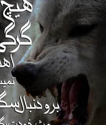 عکس نوشته لاتی سنگین