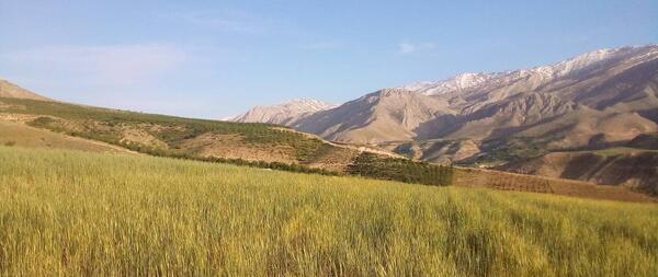 عکس روستای آزادلو