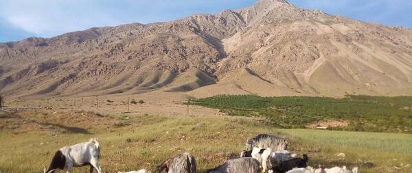 عکس روستای آزادلو